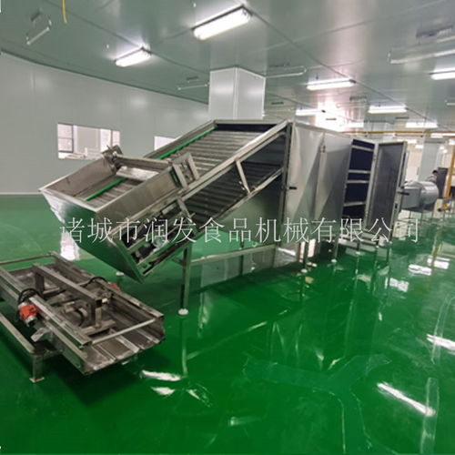 專業制造，全程服務——諸城潤發食品機械為您打造高效荷葉茶成套加工設備